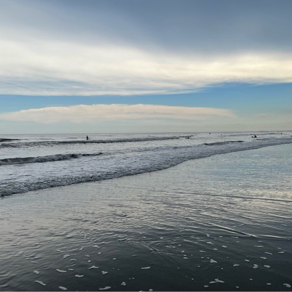 Meet your Posher, Harmony - Picture 7 of 8